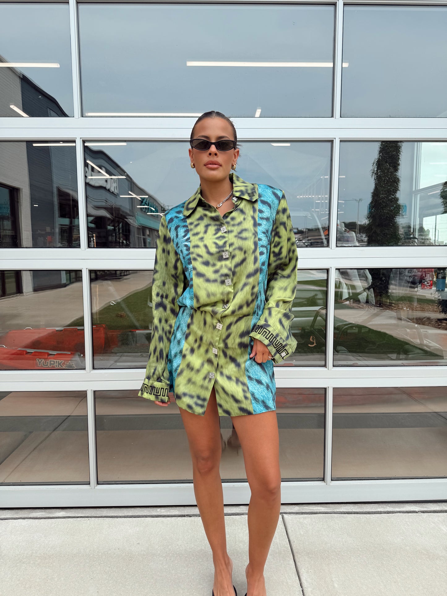 LYNX SHIRT DRESS