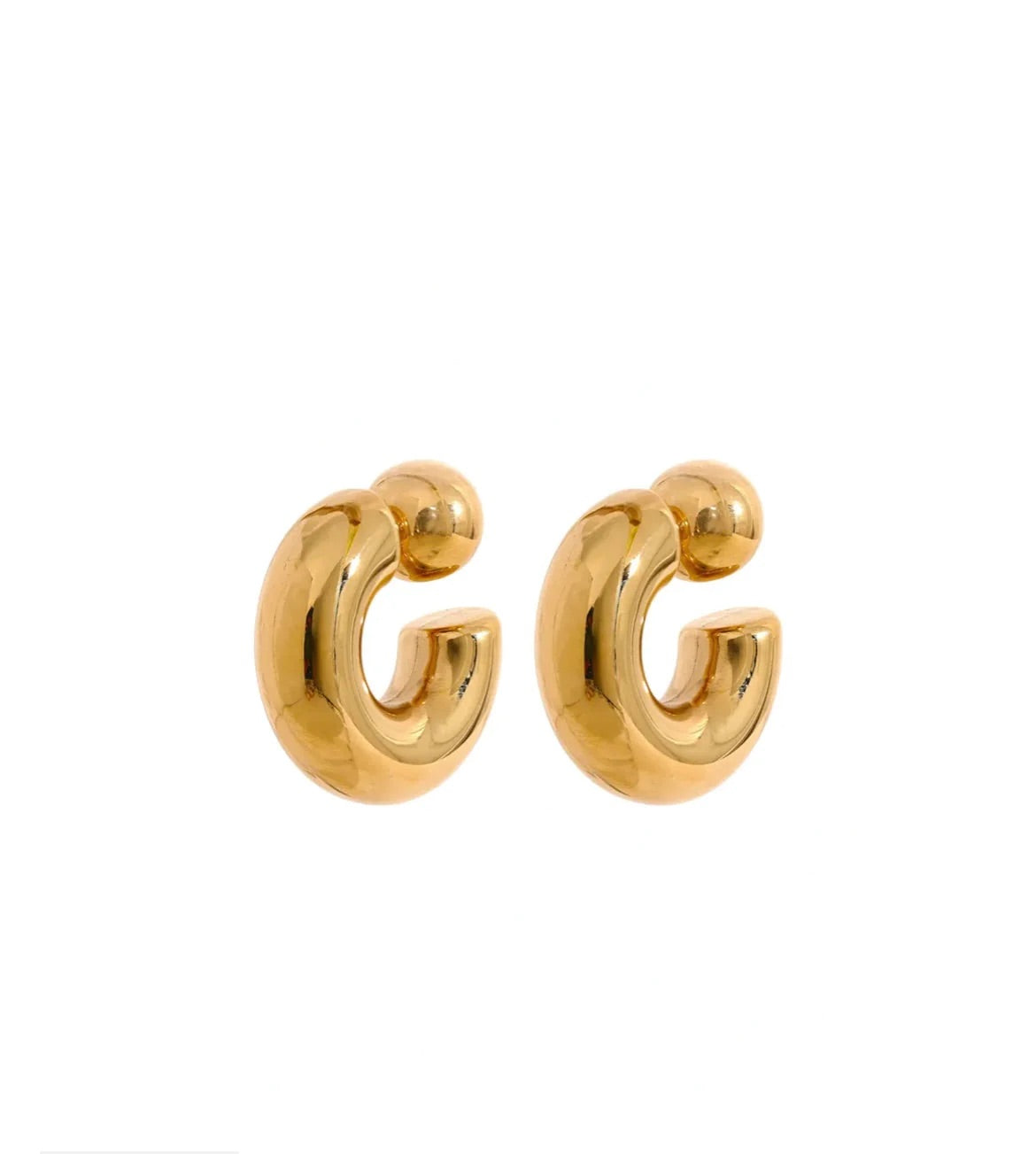 ASHLEY HOOPS