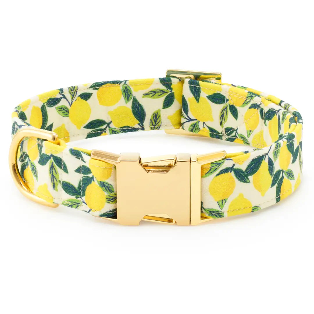 DOG COLLAR