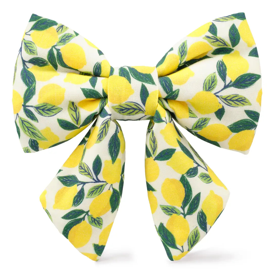 LADY DOG BOW