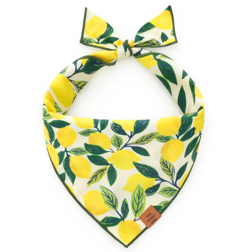 DOG BANDANA