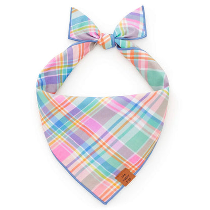 DOG BANDANA