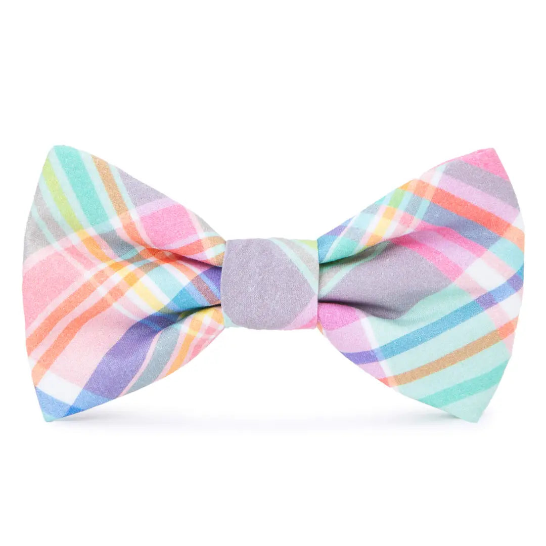 DOG BOW TIE