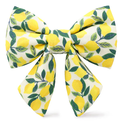 LADY DOG BOW