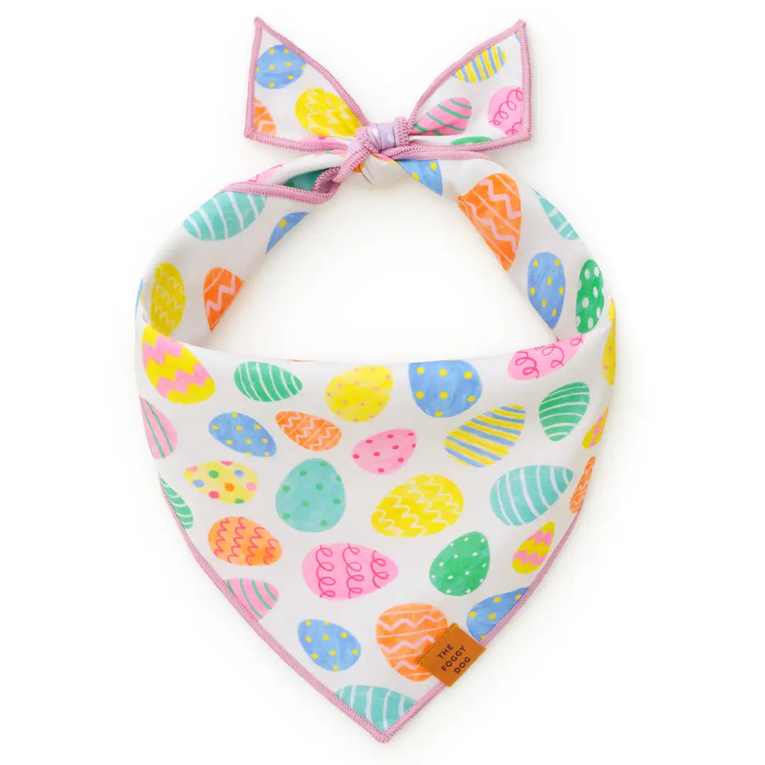 DOG BANDANA