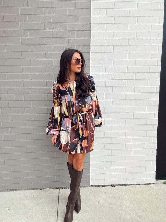 DESTIN BUTTON DOWN MINI DRESS