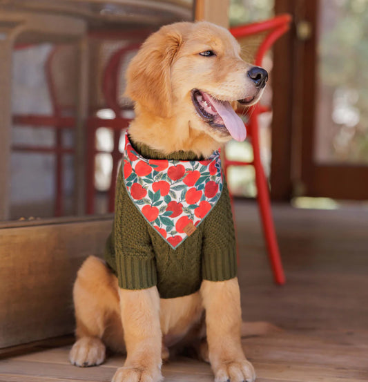 APPLE OF MY EYE BANDANA
