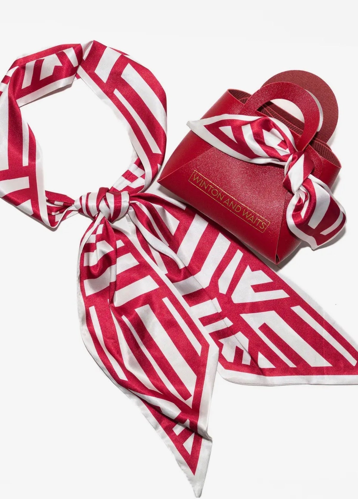 GAME DAY ACCESSORY SCARF