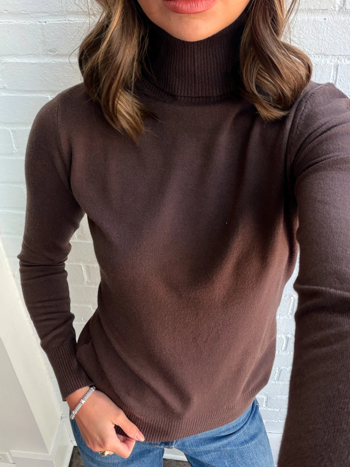 SILENE TURTLENECK SWEATER